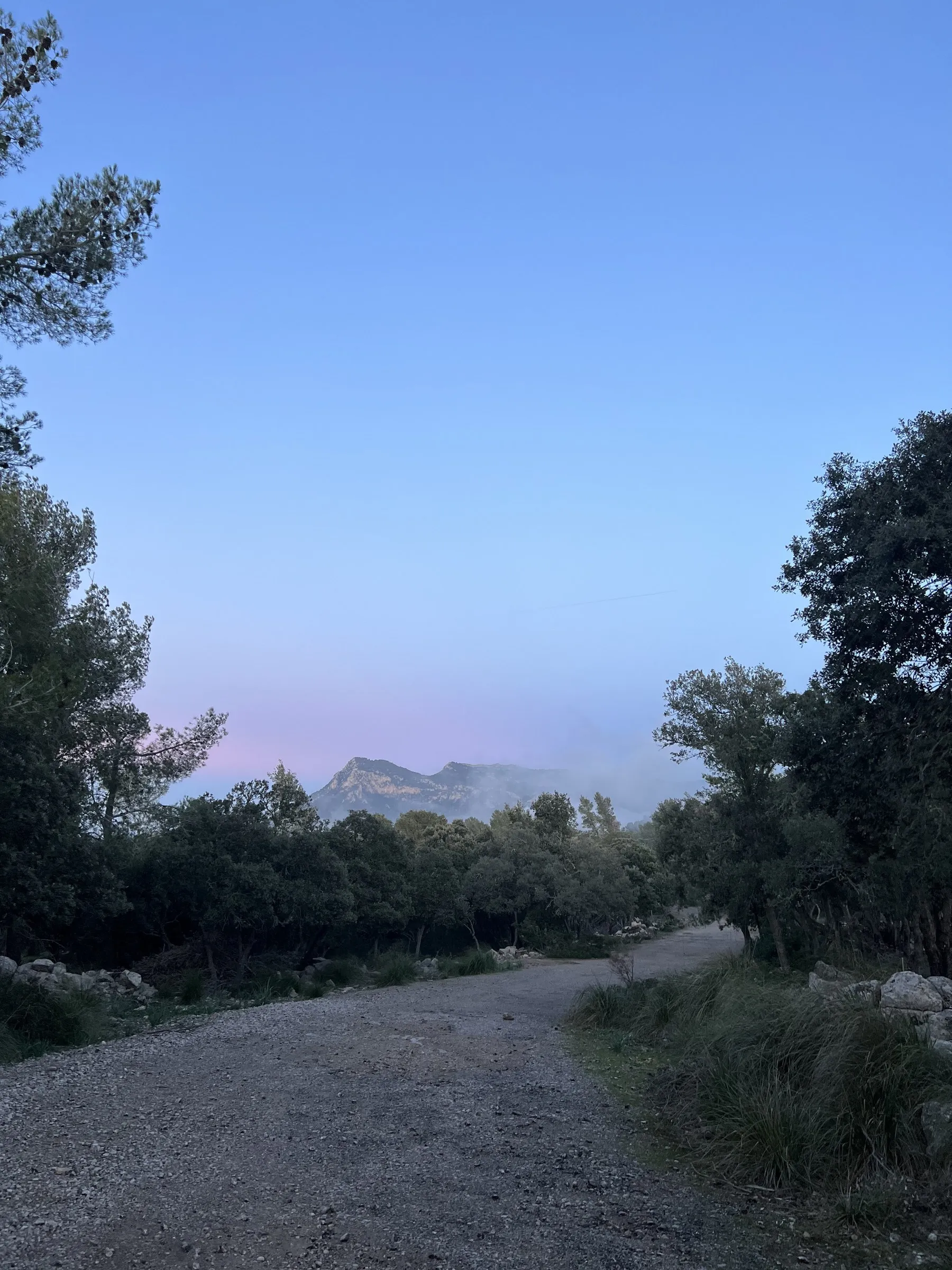Un camino de tierra entre encinas al anochecer, con la sierra recortada al fondo y el cielo todavía rosa.