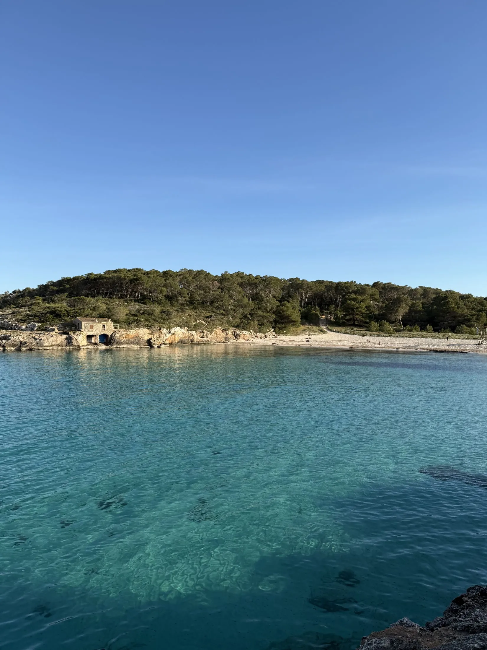 Der Strand der Cala Mondragó vom Pfad aus, mit Sand und Kiefernwald ringsum